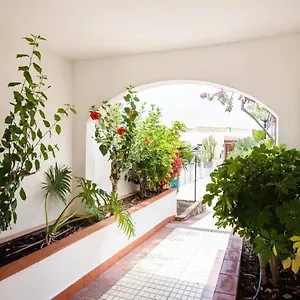  Apartamento 1 Bedroom For 4 People In Tenerife España
